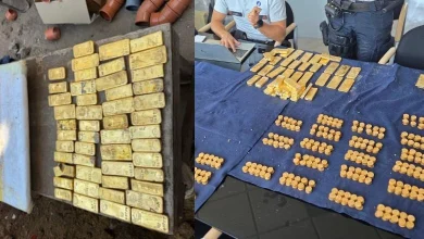 18-Year-Old Discovers Gold Worth Nearly ₹100Cr While Doing Sewage Work In Belgium