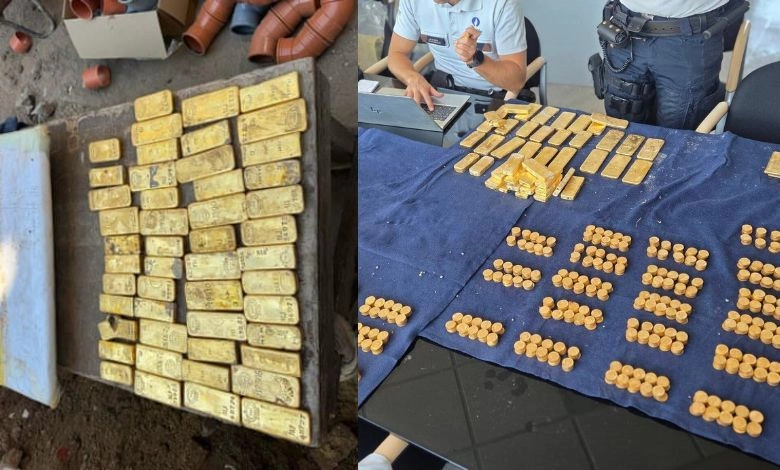 18-Year-Old Discovers Gold Worth Nearly ₹100Cr While Doing Sewage Work In Belgium