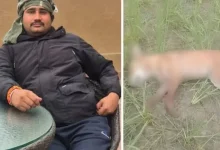 A Barking Dog, A Gunshot And A Shocked Village: UP Man Shoots Pet, Then Owner