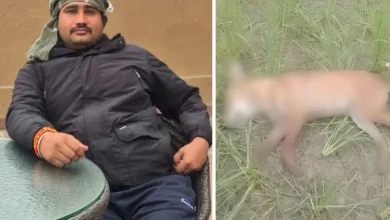 A Barking Dog, A Gunshot And A Shocked Village: UP Man Shoots Pet, Then Owner