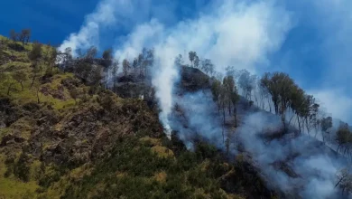 Mount Bromo Shut As Wildfire Burns 435 Acres In Indonesia