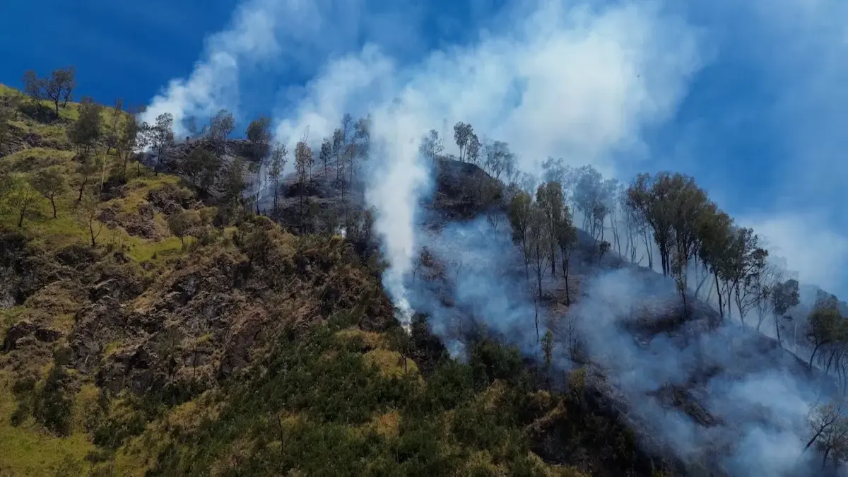 Mount Bromo Shut As Wildfire Burns 435 Acres In Indonesia