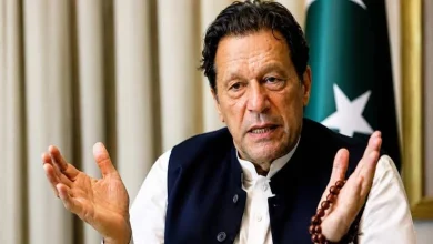 PCB Angered By Imran Khan's Sons Interview, Mulled Not Taking The Field