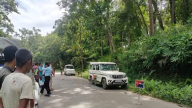4 With Weapons Killed After Shootout With Police In Meghalaya