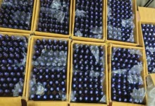 1kg Charas, 15,000 Codeine Syrup Bottles Seized In Mumbai