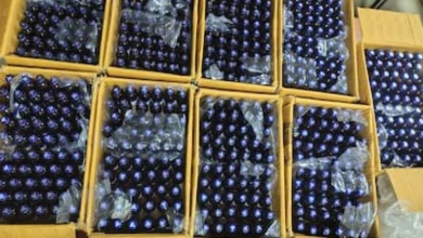 1kg Charas, 15,000 Codeine Syrup Bottles Seized In Mumbai