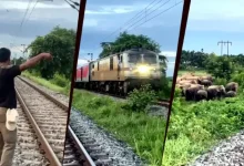 Rajdhani Express Halts in Assam as Elephant Herd Crosses Railway Track