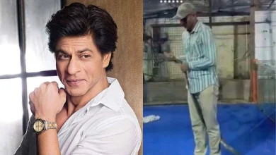 2 Snakes Rescued From SRK's Mannat