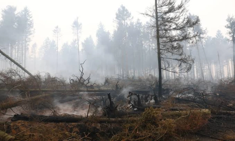 Wildfires Wreak Havoc In Belgium