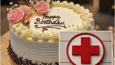 Birthday Cake Turns Into Nightmare As 11 Fall Sick After Dead Lizard Is Found