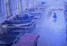 Dog Takes Jewellery Bag From Mandsaur Hospital, CCTV Solves Mystery