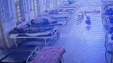 Dog Takes Jewellery Bag From Mandsaur Hospital, CCTV Solves Mystery
