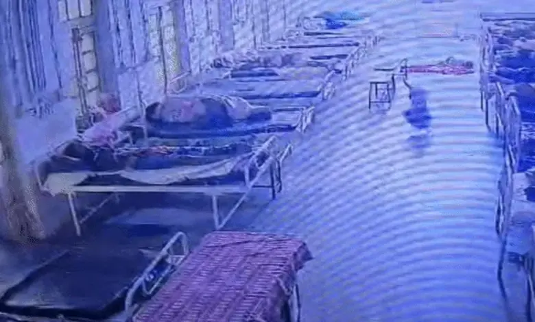 Dog Takes Jewellery Bag From Mandsaur Hospital, CCTV Solves Mystery