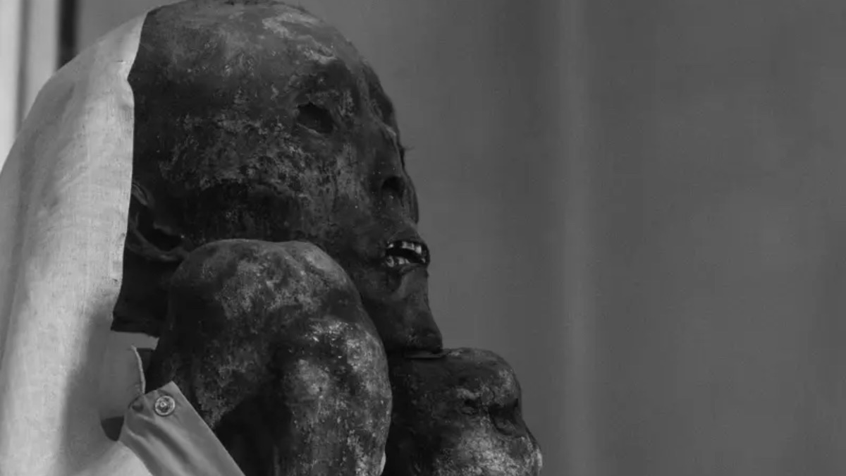 Scientists Warn Fungus From Mummified Remains Could Pose Health Risks to Humans