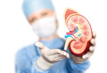 Kidney Transplants in Gujarat Jump 34% in Two Years — Here's Why Cases Keep Rising
