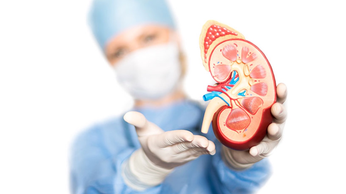 Kidney Transplants in Gujarat Jump 34% in Two Years — Here's Why Cases Keep Rising