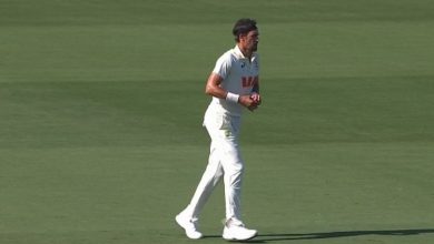 Mitchell Starc Achieves Two Major Milestones with Just One Wicket