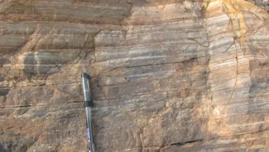 India Holds A 3.5 Billion-Year-Old Secret Of Life