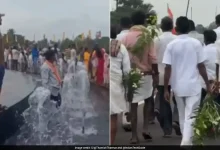 Plants Uprooted, Fountain Turned Into Play Area: Viral Videos From Vizag