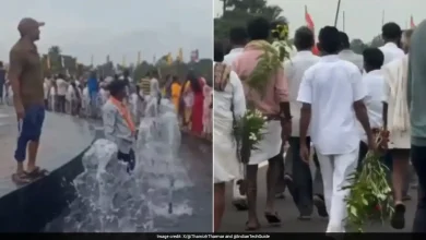 Plants Uprooted, Fountain Turned Into Play Area: Viral Videos From Vizag