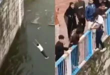 Jhansi Man Fractures Both Legs After Jumping into Dam for Social Media Reel