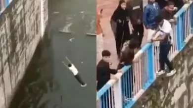 Jhansi Man Fractures Both Legs After Jumping into Dam for Social Media Reel