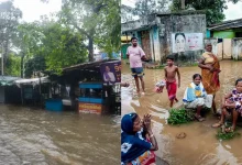 Uttar Pradesh Faces Painful Rainfall, Drowning Destruction: 10 Killed In 24 Hours