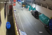 CCTV Captures Theft of Lord Ganesha Idol from Bengaluru Roadside Stall