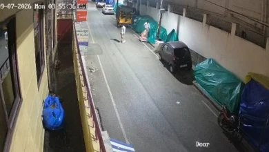 CCTV Captures Theft of Lord Ganesha Idol from Bengaluru Roadside Stall