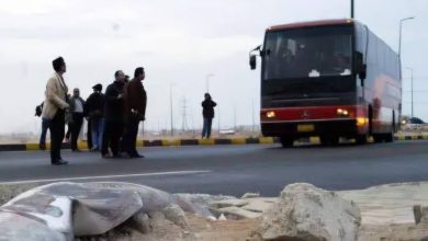 Sinai Bus Crash: 16 Killed, 10 Jordanians Among Dead on Dahab-Nuweiba Road