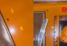Cockroach Crashes Dinner At Mumbai’s JW Marriott, Cardiologist Tags Food Safety Chief
