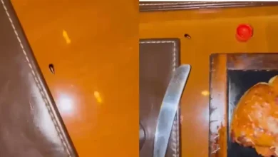 Cockroach Crashes Dinner At Mumbai’s JW Marriott, Cardiologist Tags Food Safety Chief