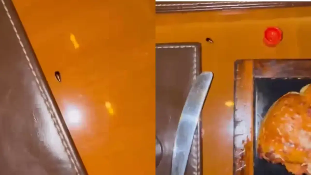 Cockroach Crashes Dinner At Mumbai’s JW Marriott, Cardiologist Tags Food Safety Chief