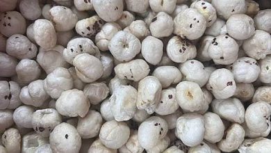 How Daily Makhana Consumption May Support Thyroid Health