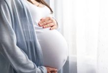 Pregnancy Brain Fog Confirmed: High Estrogen Disrupts Memory Circuit