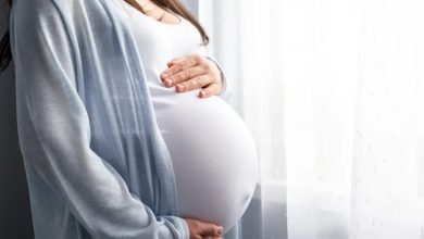 Pregnancy Brain Fog Confirmed: High Estrogen Disrupts Memory Circuit