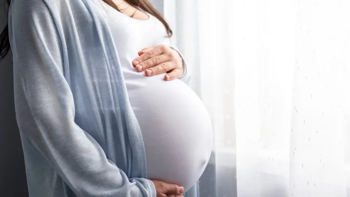 Pregnancy Brain Fog Confirmed: High Estrogen Disrupts Memory Circuit