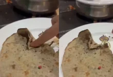 Customer Discovers Rubber Band Inside Roti at Pune Hotel; Video Sparks Outrage