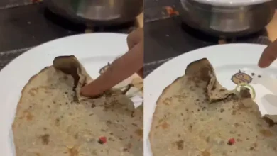 Customer Discovers Rubber Band Inside Roti at Pune Hotel; Video Sparks Outrage
