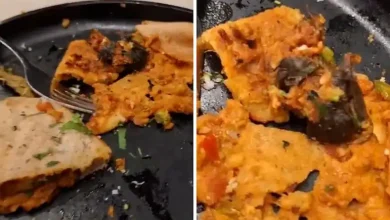 Dead Rat in Dosa Complaint Leads to Rs 25 Lakh Extortion Attempt Against Mumbai Hotel