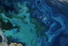 El Niño and Warming Oceans: How Earth's Climate Could Change in 2027