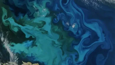 El Niño and Warming Oceans: How Earth's Climate Could Change in 2027