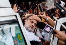 Solicitor General Alleges Women Cops Were Molested at Rahul Gandhi-Led Protest, Tells Supreme Court